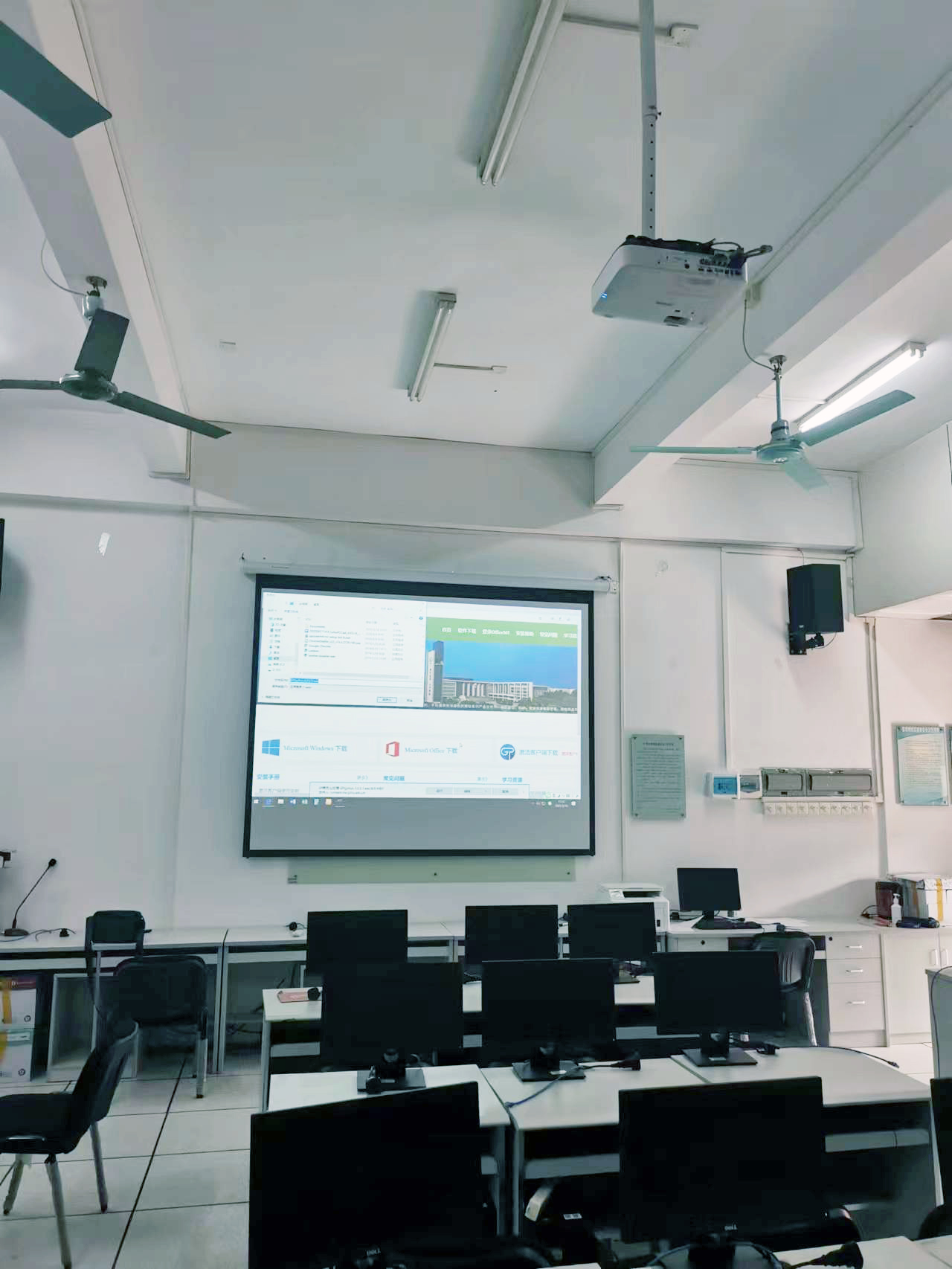 快猫app